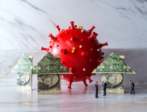 Konträre Gerichtsentscheide im Mietstreit